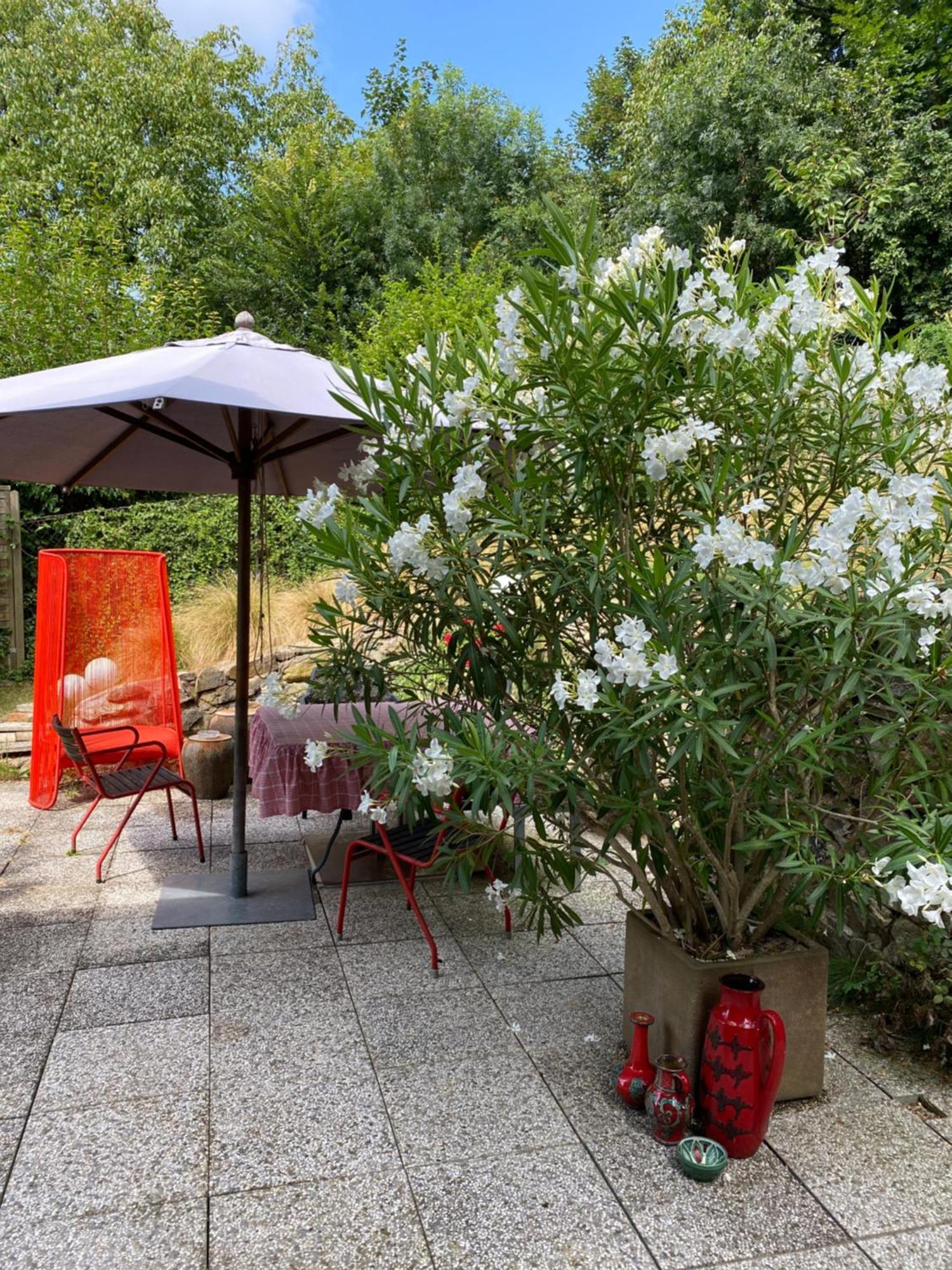 Jules&Jim Gaestehaus Linz Extérieur photo